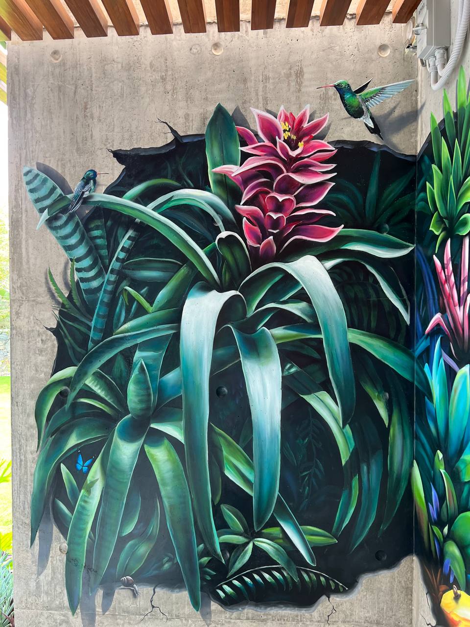Hyperrealistic detail of tropical mural featuring pink bromeliad flower with hummingbird on concrete wall