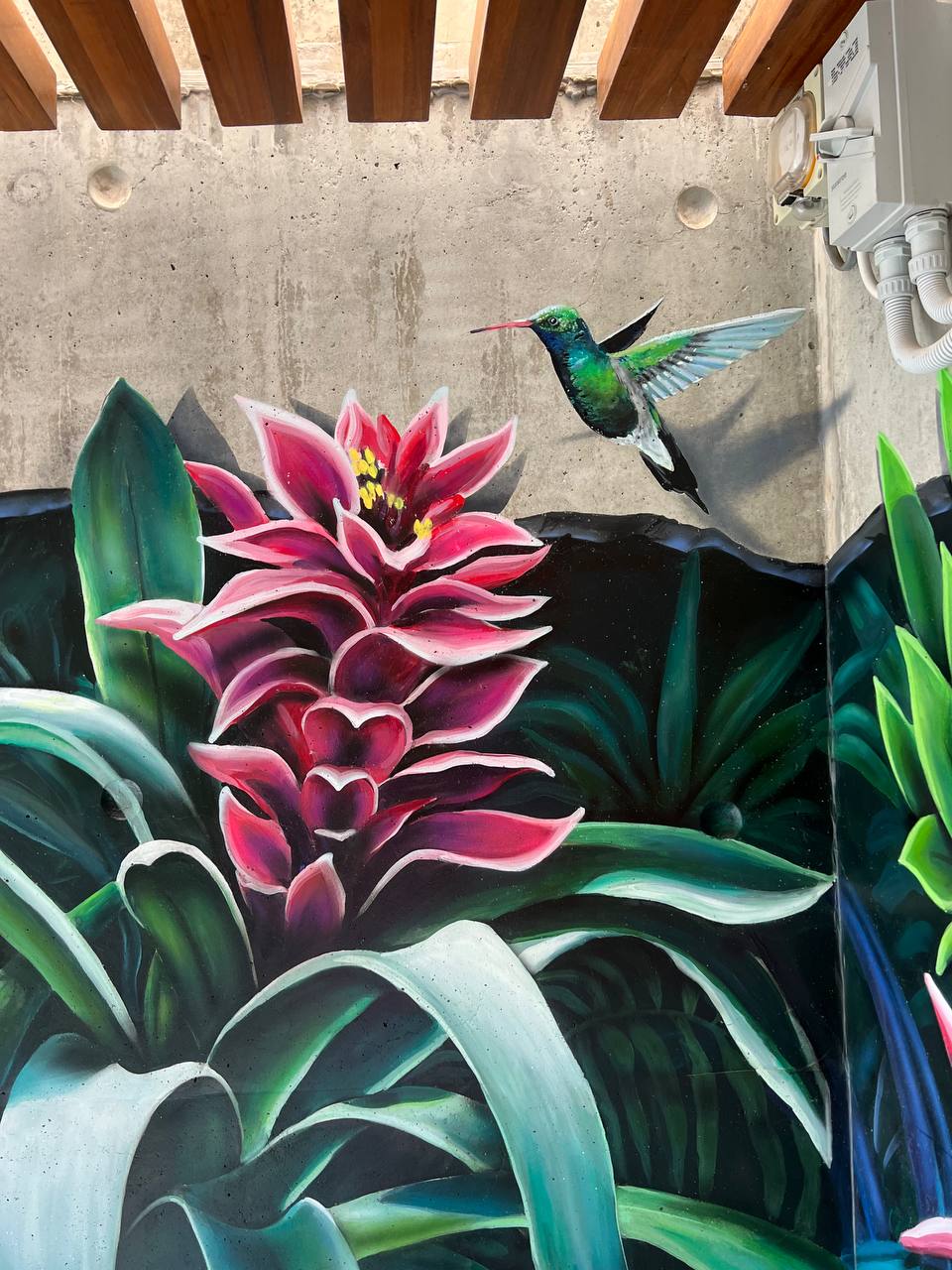 Hyperrealistic detail of green hummingbird approaching pink bromeliad flower in tropical wall mural