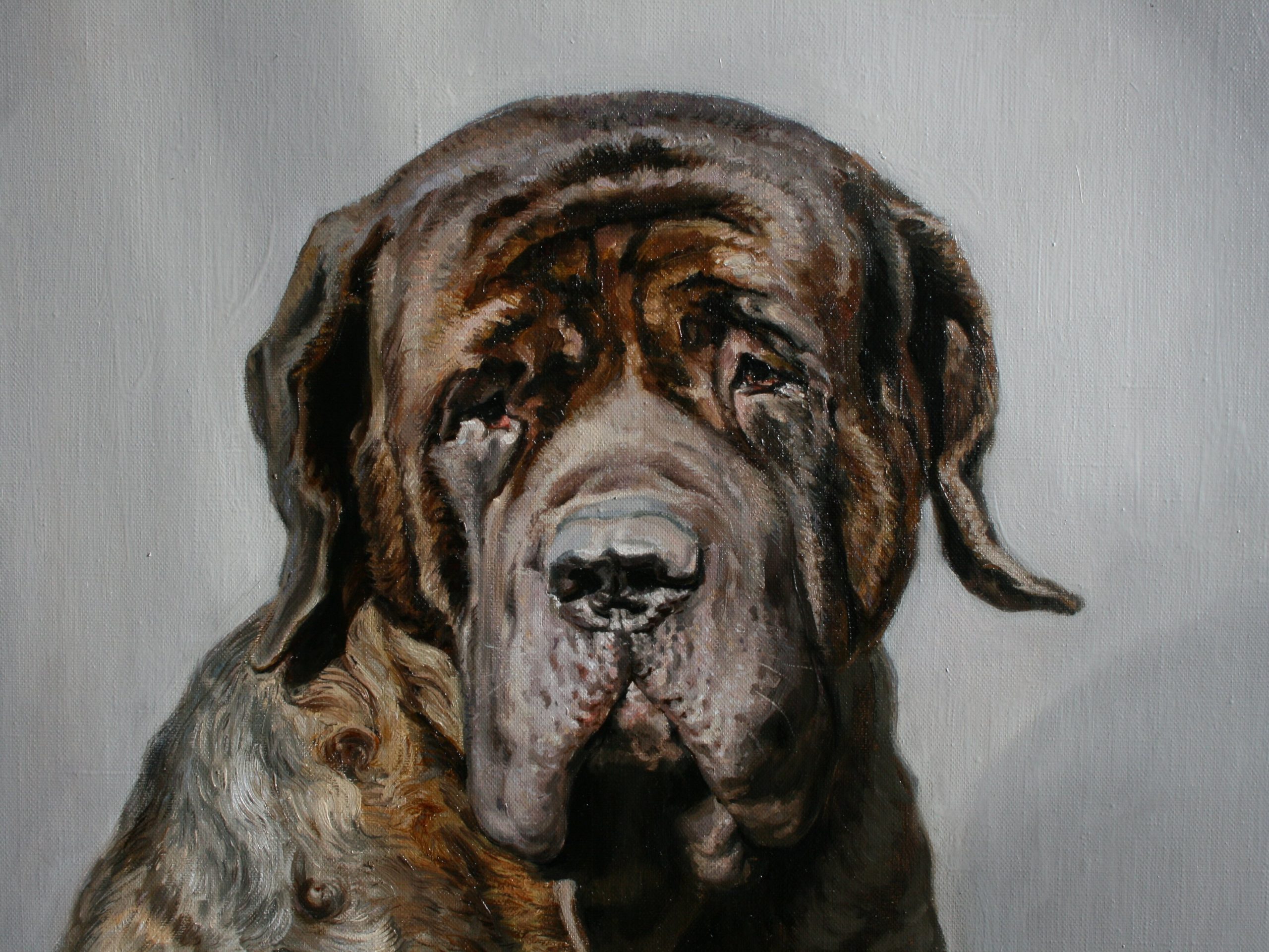 Custom Oil Pet Portraits Dubai