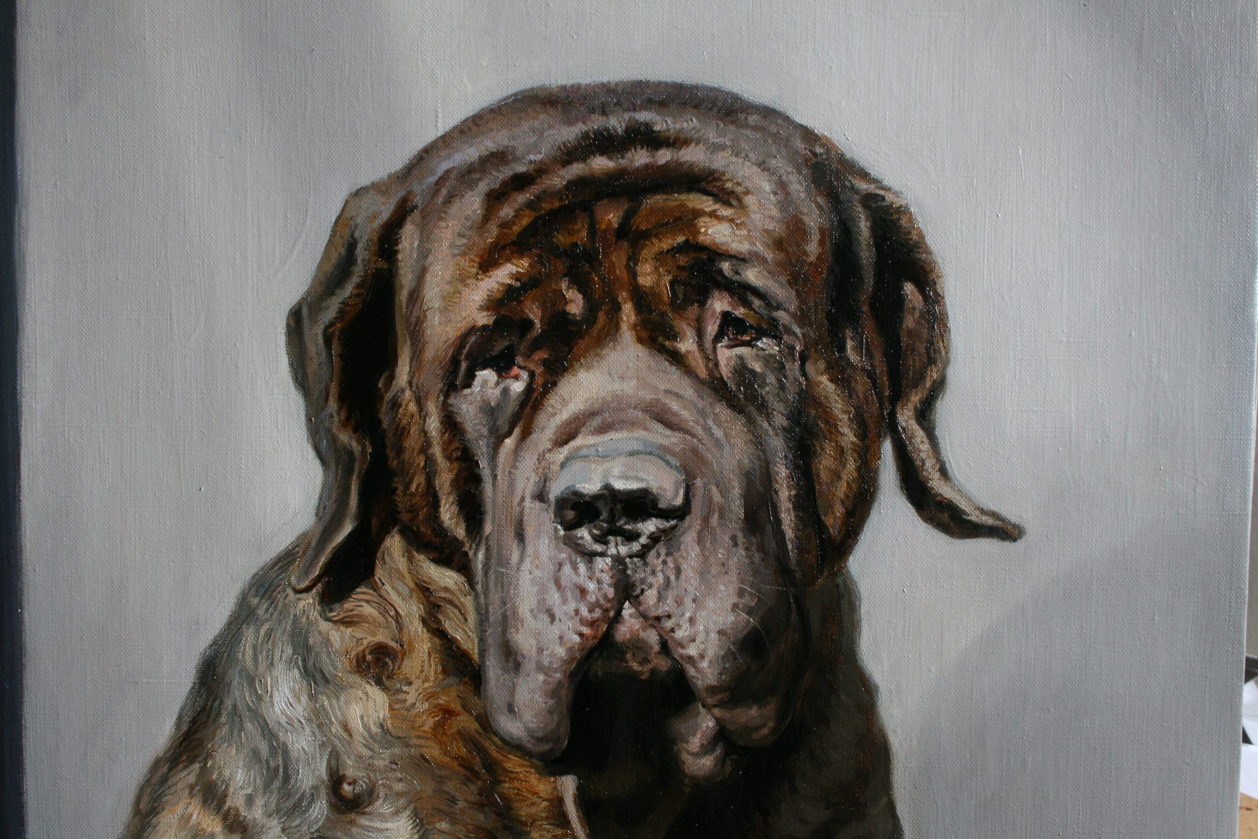 Close-up detail of realistic mastiff dog oil portrait showing facial features and fur texture